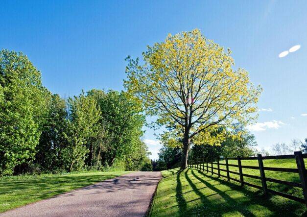 A Path to Solitude