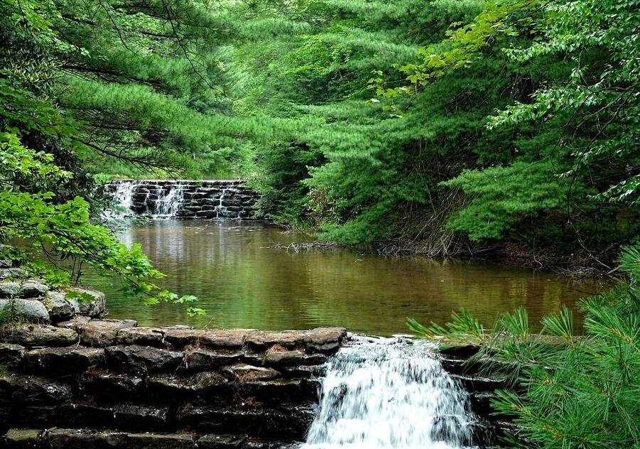 Nature's Path 自然小径