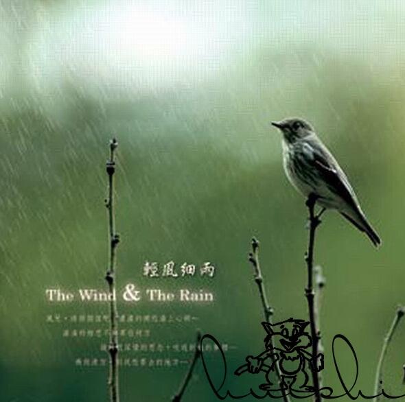 王俊雄:大自然音乐系列 10CD专辑 WAV