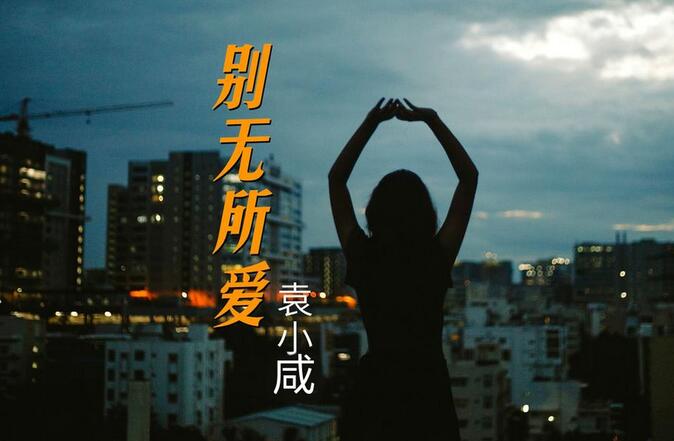 心心念念的冷门歌曲找到了：《袁小咸 - 别无所爱》